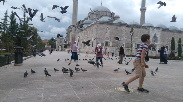 السفر الي تركيا