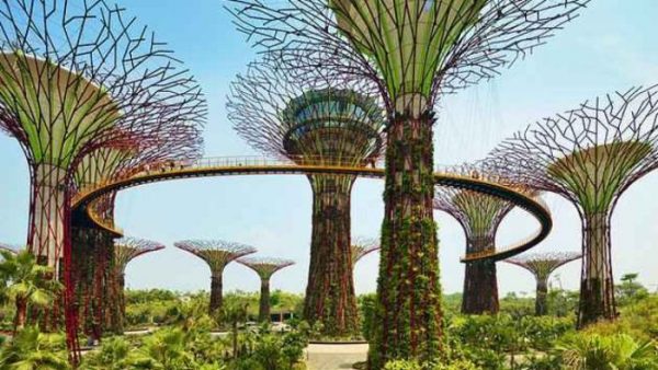 حدائق الخليج في سنغافورة 