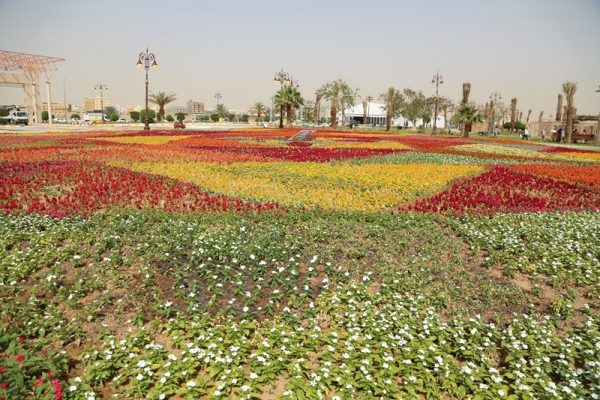 منتزه الأمير فهد بن سلطان