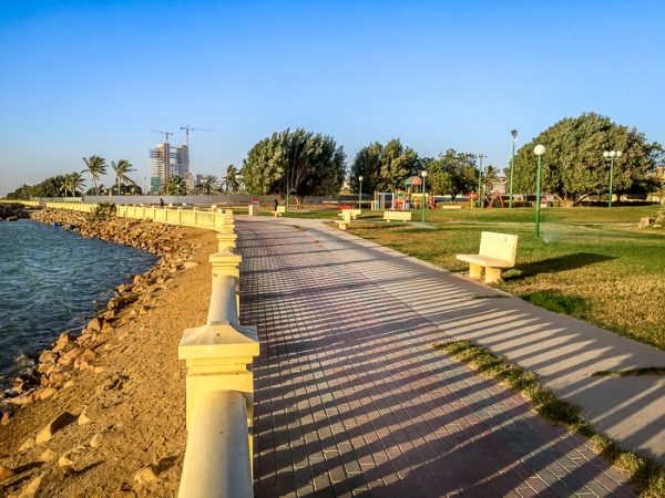 حديقة الصبح