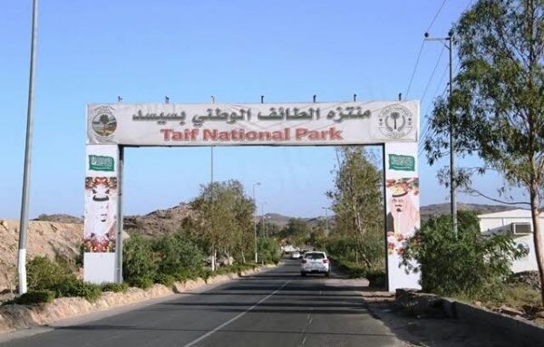 منتزه الطائف الوطني سيسد