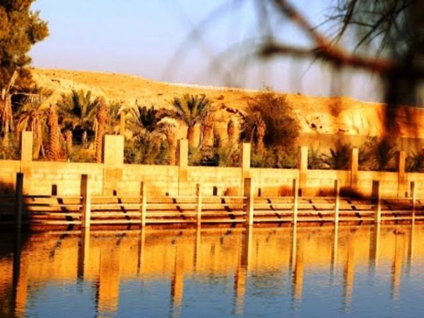 ممرات المشي 