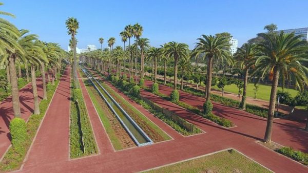 حديقة جامعة الدول العربية