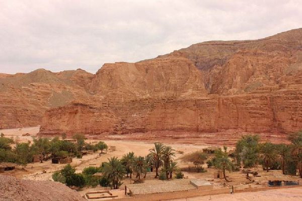واحة عن خضرة