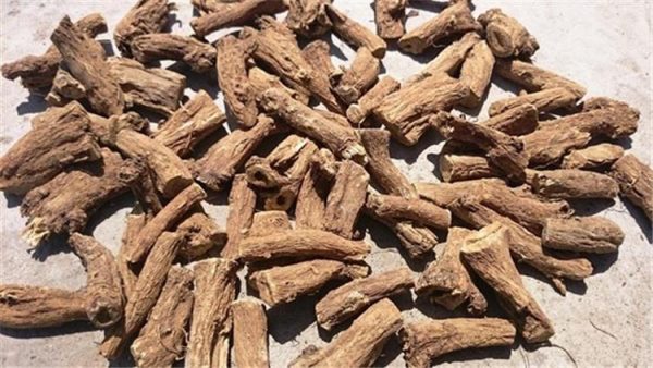 افضل مكان لبيع العود في الهند