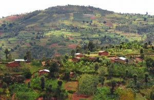 الاستثمار العقاري في بوروندي