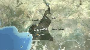 الاستثمار في الكاميرون