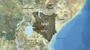 الاستثمار في كينيا