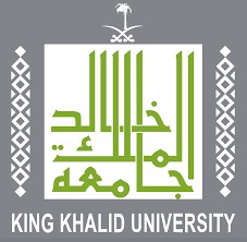 kku sso جامعة الملك خالد