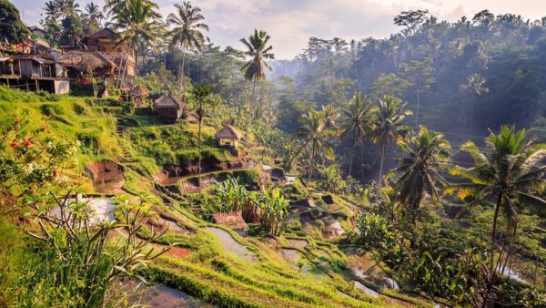 تكلفة المعيشة في اندونيسياالمعيشة في اندونيسياتكلفة المعيشة في اندونيسيا
