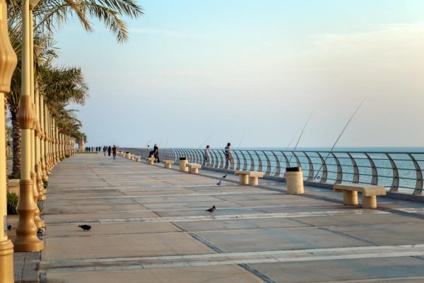جزيرة الدغيثر
