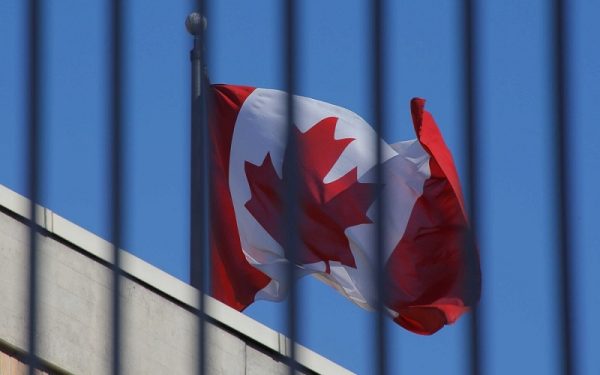 معقب في السفارة الكندية 