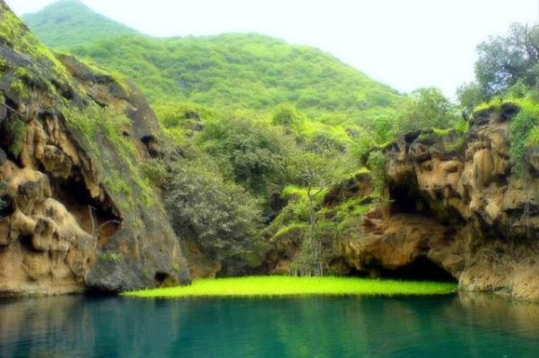حديقة الحيوان في الرياض