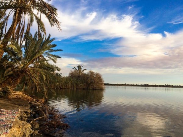 إليك افضل وقت للسفر الى واحة سيوة