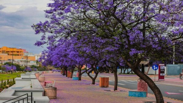 تعرف على اماكن حلوه في أبها وخميس مشيط