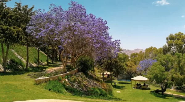 منتزهات أبها الجديدة