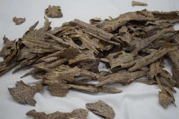 افضل مكان لبيع العود في كيرلا