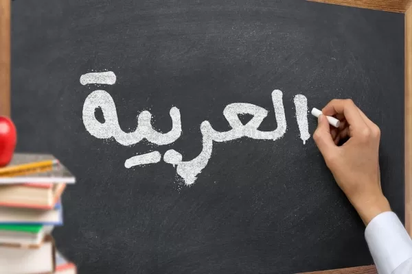اللغة العربية في السنغال