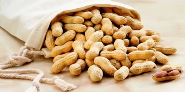 ما هي أكثر دول العالم انتاجا للفول السوداني